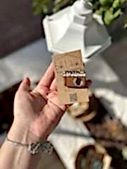 Kamera Broş