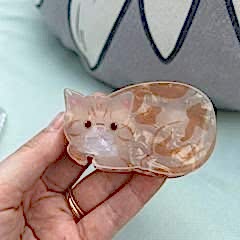 Kedi Kemik Toka