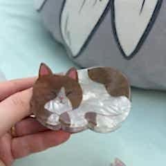 Kedi Kemik Toka